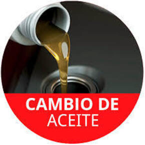 Nunc congue dui nec...