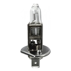 Nunc congue dui nec...