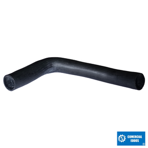 Nunc congue dui nec...