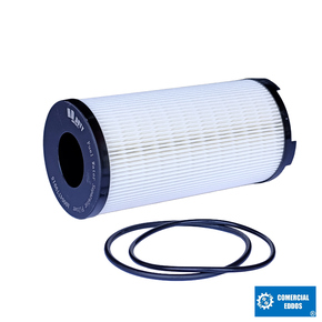 Nunc congue dui nec...