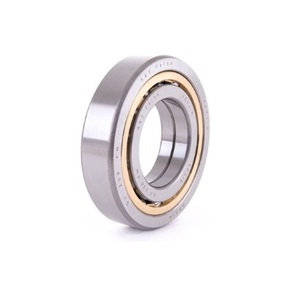 Nunc congue dui nec...