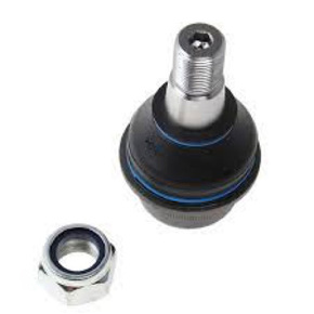 Nunc congue dui nec...