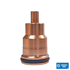 Nunc congue dui nec...