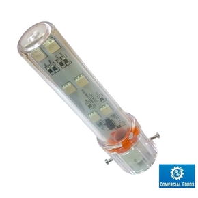 Nunc congue dui nec...