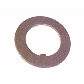 Nunc congue dui nec...