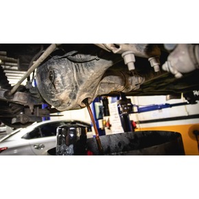 Nunc congue dui nec...