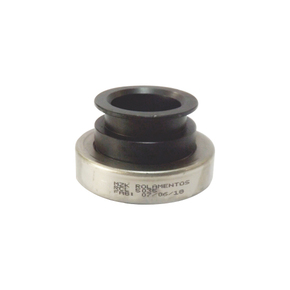 Nunc congue dui nec...