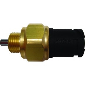 Nunc congue dui nec...