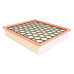 Nunc congue dui nec...