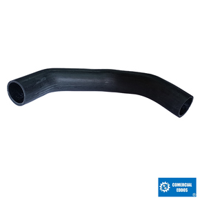 Nunc congue dui nec...