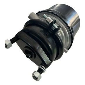 Nunc congue dui nec...