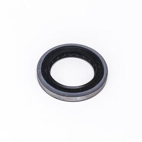 Nunc congue dui nec...