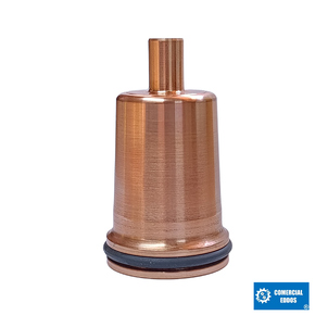 Nunc congue dui nec...