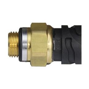 Nunc congue dui nec...