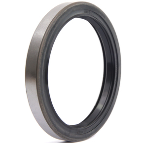 Nunc congue dui nec...