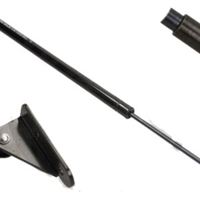 Nunc congue dui nec...