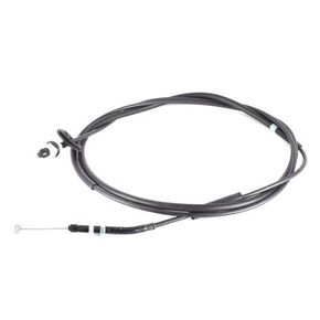 Nunc congue dui nec...