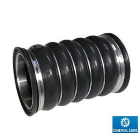 Nunc congue dui nec...