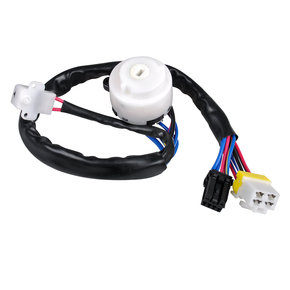 Nunc congue dui nec...