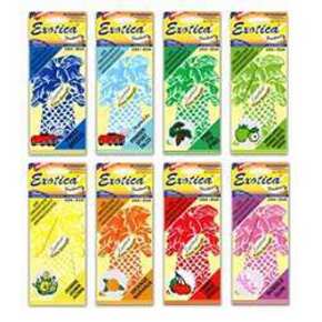 Nunc congue dui nec...