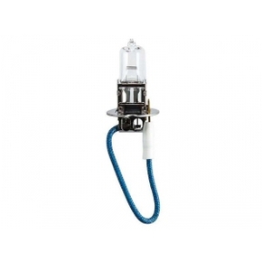 Nunc congue dui nec...