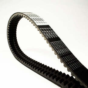 Nunc congue dui nec...