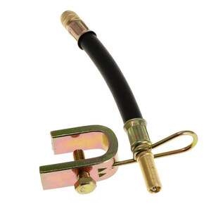 Nunc congue dui nec...