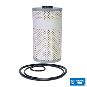 Nunc congue dui nec...