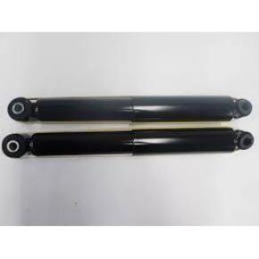 Nunc congue dui nec...