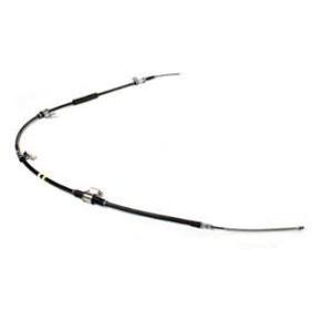 Nunc congue dui nec...