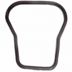 Nunc congue dui nec...