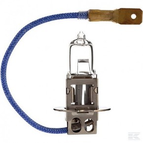 Nunc congue dui nec...