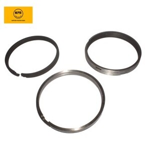 Nunc congue dui nec...