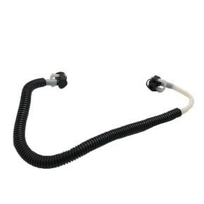 Nunc congue dui nec...