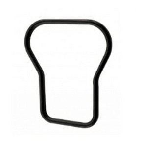 Nunc congue dui nec...