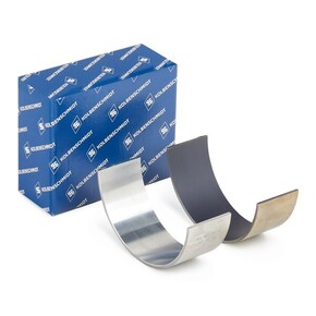 Nunc congue dui nec...