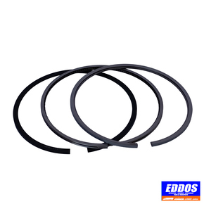 Nunc congue dui nec...