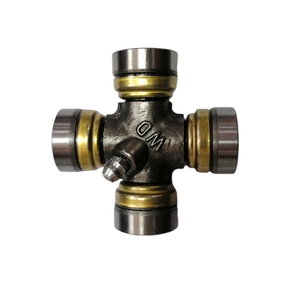 Nunc congue dui nec...