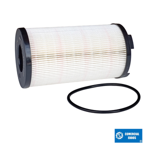 Nunc congue dui nec...