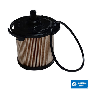 Nunc congue dui nec...