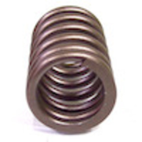 Nunc congue dui nec...