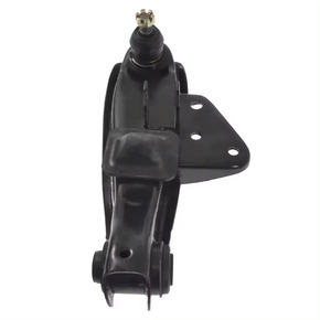 Nunc congue dui nec...