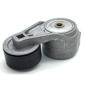 Nunc congue dui nec...