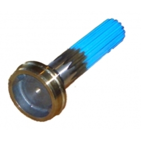 Nunc congue dui nec...