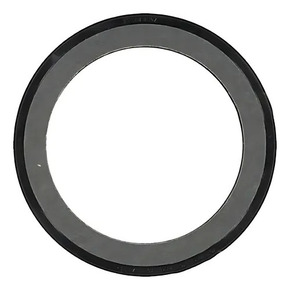 Nunc congue dui nec...