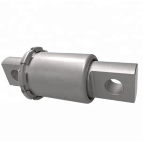 Nunc congue dui nec...