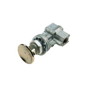 Nunc congue dui nec...