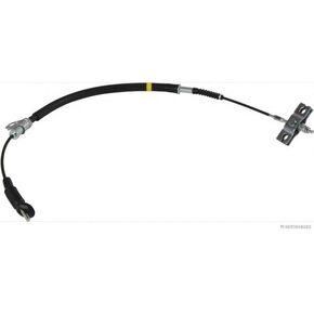 Nunc congue dui nec...