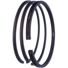 Nunc congue dui nec...