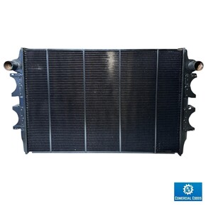 Nunc congue dui nec...